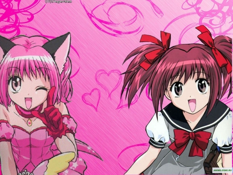 Tokyo Mew Mew